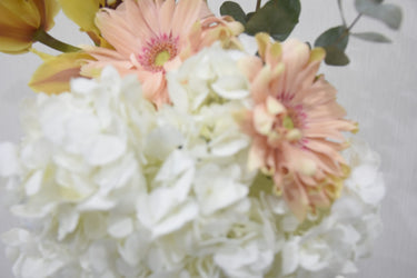 Hydrangea & Cymbidium Classic Vase Arrangement